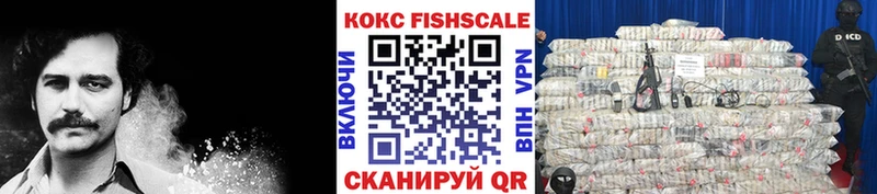 OMG ссылка Цоци-Юрт COCAIN Fish Scale