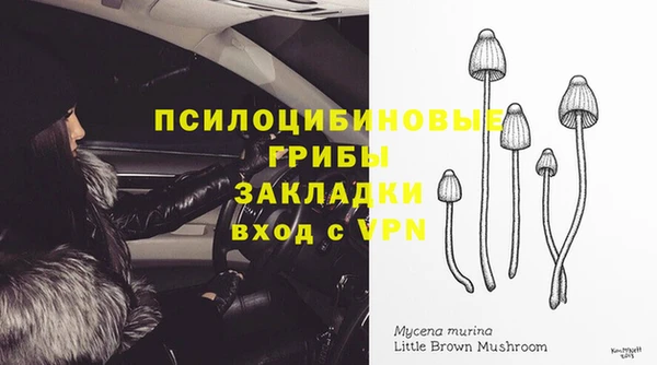герыч Алексин
