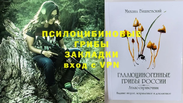 Альфа ПВП Алзамай