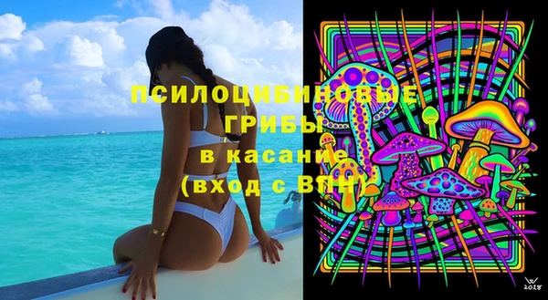 герыч Алексин