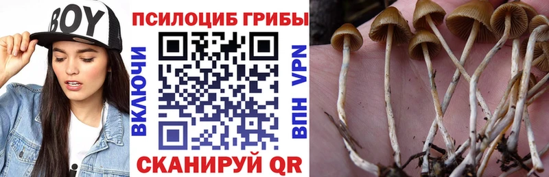 Псилоцибиновые грибы Magic Shrooms  Цоци-Юрт 